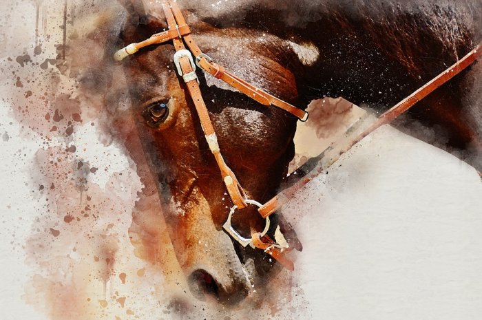 Horse Brown Horse Equine Brown Field Animal Grass